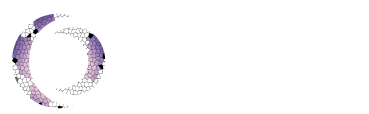 Welcome to The Dream Team